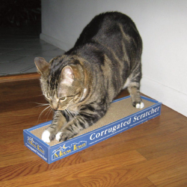 Planche à gratter en carton ondulé cats meow town