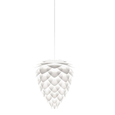 1 - Light Unique/Statement Pendant