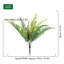19,7 plante