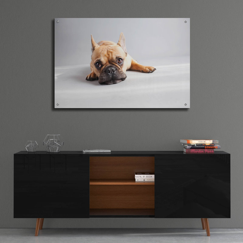 «Sad Frenchie» par Susan Sabo, H 24 po x l 36 po x P 0,2 po