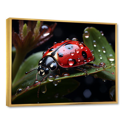 " Rainy Ladybugs Lullaby I "