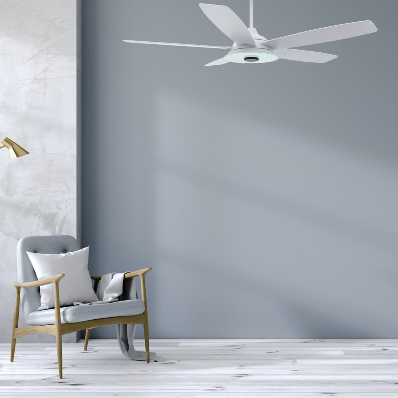 Striker Smart Ceiling Fan, Dimmable LED Light Kit & Remote Control, Works With Alexa/Google Home/Siri, Indoor/Outdoor, 56"