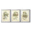 Libellule royale II (PP) - reproduction sur mesure encadrée de qualité supérieure - 3 pièces-1237851724-1237851721