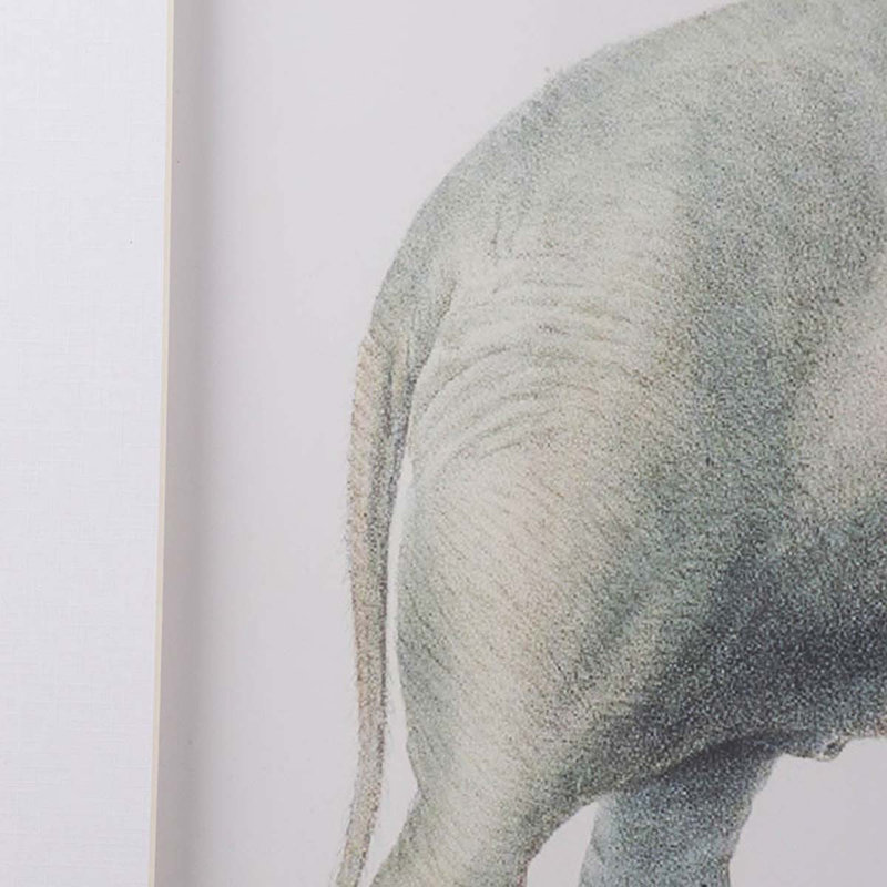 " Elephant " 2 - Pieces