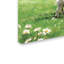 «Sheep and Lamb» par Armand, reproduction sur toile-21646842