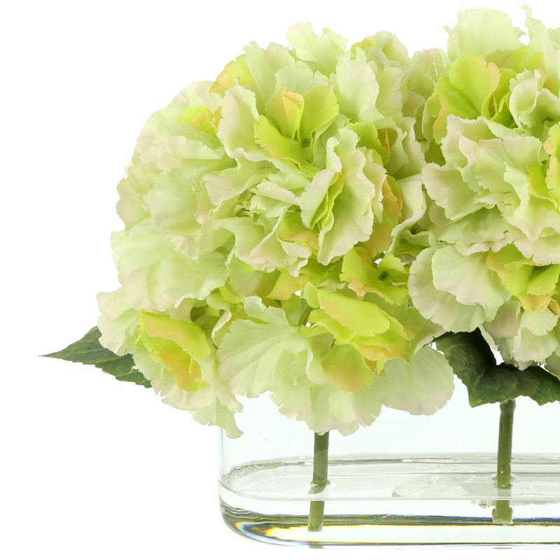Hydrangeas Arranged in Clear Glass Vase, Green