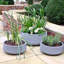 Fibreglass Plant Pot-39265646-39265644