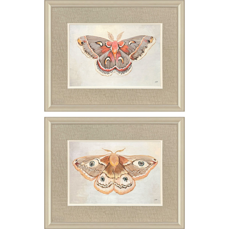 «Forest Moth», art encadré
