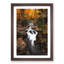 Woodland Stream - Picture Frame Painting Print-56854674-56854678