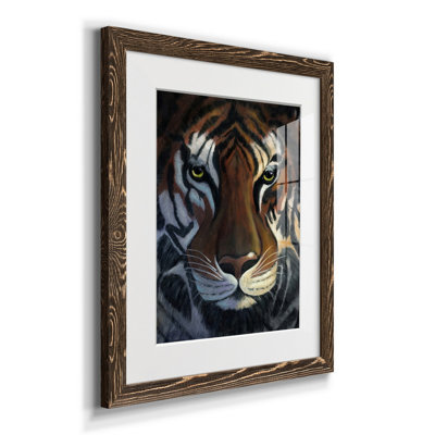 Tiger Stare - Matted and Framed Under Acrylic Glass, Large Living Room Wall Art