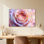 Plantes et fleurs pétales de rose pastel gros plan