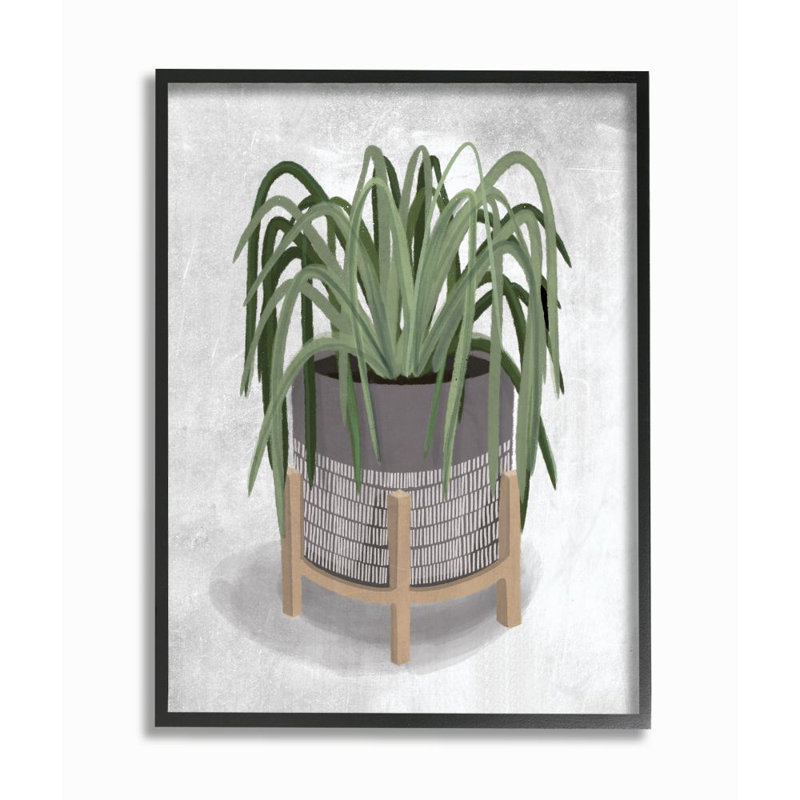 «Amical Spider Plant Grey Green» par House Fenway - impression d'art graphique, H 14 po x l 11 po x P 1,5 po