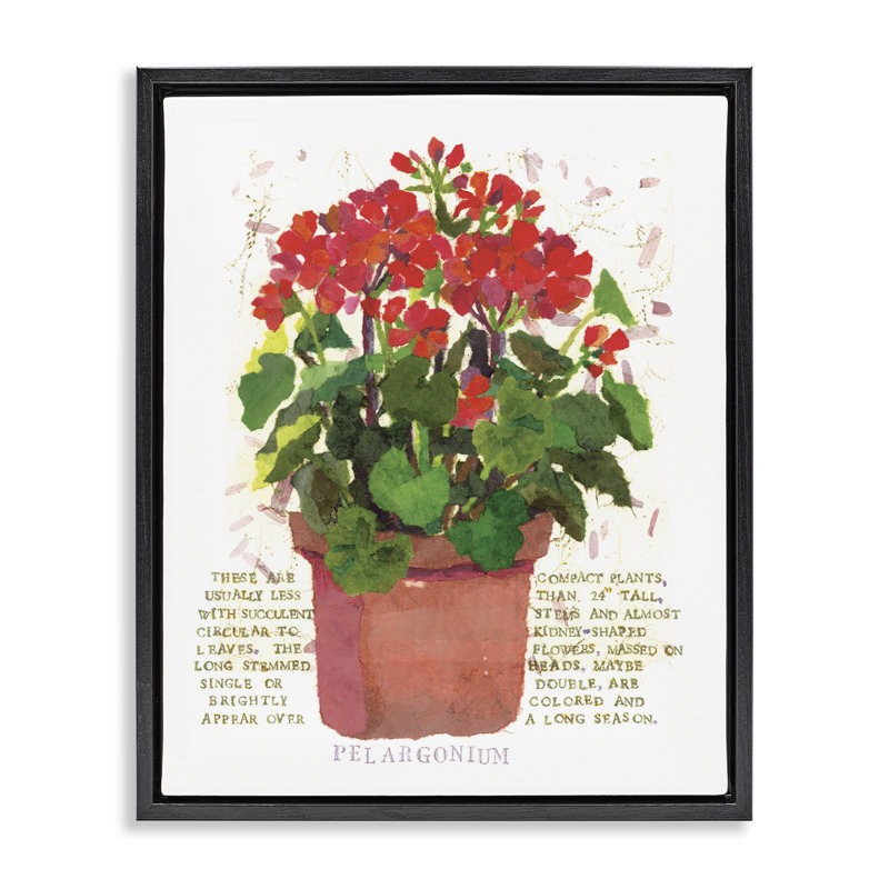 «Red Pots», art mural encadré par géranium rouge par Nancy Overton, Cadre flottant noir de jais, H 21 po x l 17 po