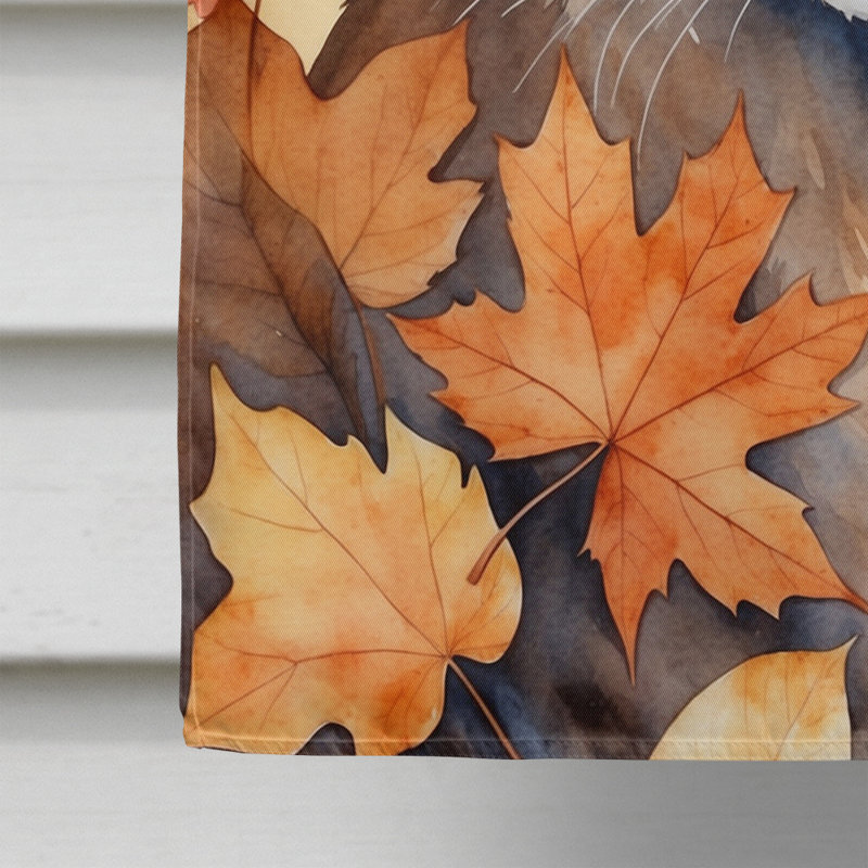 Chat en feuilles d'automne, Dwelf
