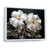 Cadre flottant blanc