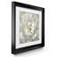 " Perfect Peony " 2 - Pieces Painting Print-20129232-20129236-20129226