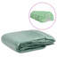  Greenhouse Replacement Cover (18 M²) 300X600x200 Cm Green