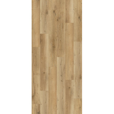 UVAGGIO | Oak 7.36" x 48" x 2.5mm/20mil Ultra Anti-Scratch Water Resistant Glue Down Luxury Vinyl Plank
