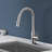 Topcraft Stainless Steel Single Handle Pull-Down Sprayer Kitchen Sink Faucet with 360° Swivel Spout-88766301