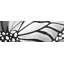 «Monarch Wings», reproduction sur toile