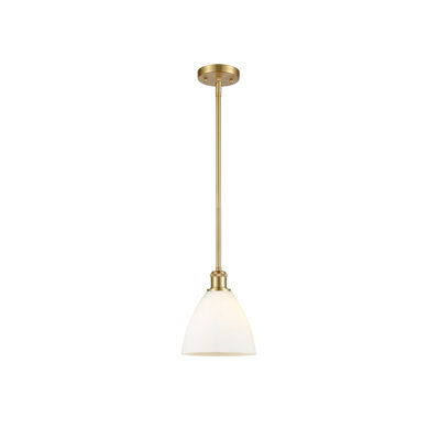 Alonta 1 - Light Single Pendant