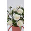 Coucher de soleil roses corail Floribunda 19 po-136068676