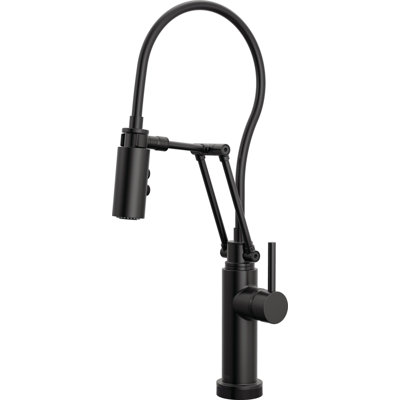 Odin® Articulating Kitchen Faucet With Finished Hose