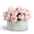 Blush is out of stock selected