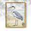 ANIMALS Series CCCCXXVII - Impression encadrée de qualité supérieure - Prêt à être accroché - Aucun clou requis-27452913