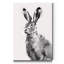 « Wild Hare I », reproduction d’art sur toile tendue-1743608634