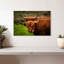Fluffy Highland Cows-107675390