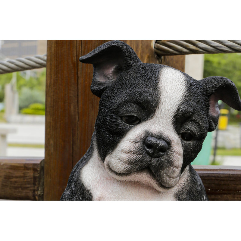 Sleepy Boston Terrier Puppy Statue Sitting