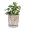 Ensemble de pots en céramique fait à la main de 2, 8 po et 6 po de diamètre, beige avec rayures verticales et trous ovales, pour les tablettes et les tables d'intérieur / extérieur Orchids & Herbs