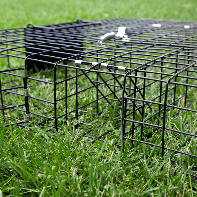 Weather Resistant Squirrel Cage