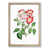 Oak Framed selected