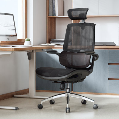 SIHOO Office Chair with Headrest