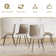 Modern Dining Chairs