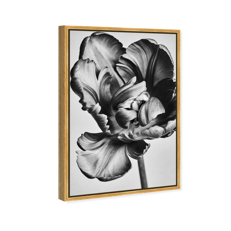 Graphite Flower Print by Oliver Gal, 16" H x 11" W, Gold Floater Frame