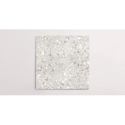Forage 24" x 24" Matte