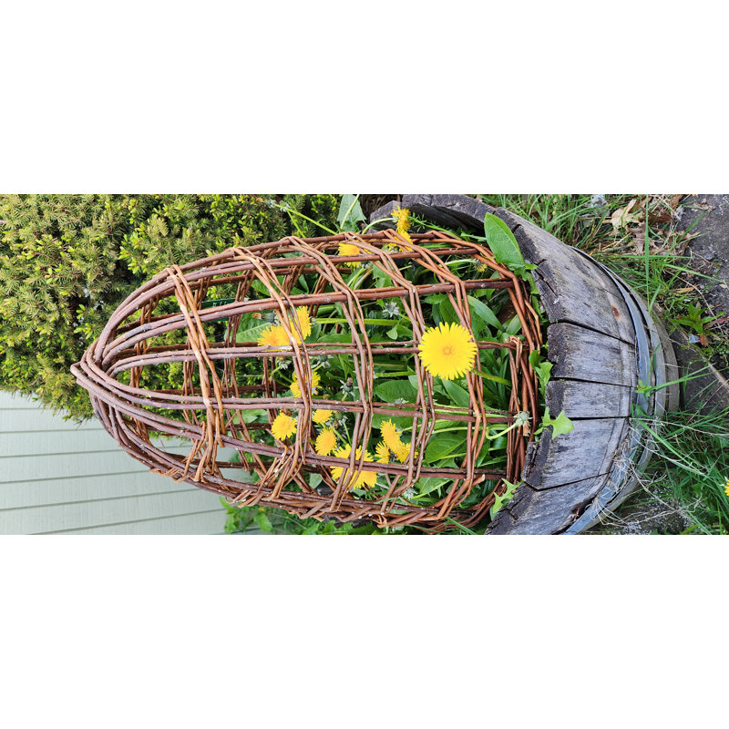 Cloche de saule, H 24 po x l 22 po x P 22 po, Brun