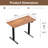 Standing & Height-Adjustable Desks-1172678784-1172678787