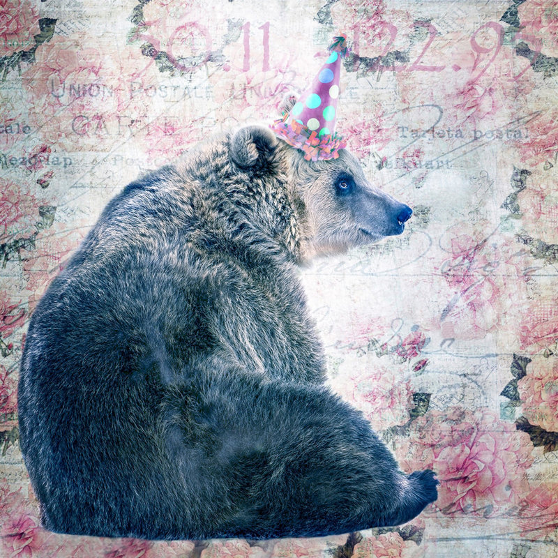 Party Bear par Morgan Jones - impression sur toile tendue, H 40 po x l 40 po x P 1,5 po