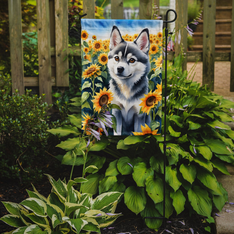 Lévrier irlandais dans le drapeau du jardin de tournesols, Klee Kai de l'Alaska