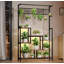 Jazyia Plant Stand-1126099652