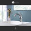 Robinet de lavabo de salle de bain monocommande à fixation sur le comptoir avec ensemble de drain Z - Chrome poli-36865957