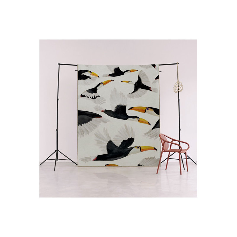 Tapis décoratif lavable à la machine Flying, Rectangle 2 pi 6 po x 4 pi 11 po