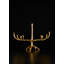 Branche Menorah