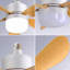 Ventilateurs de plafond à douille de 16 pouces avec lumière DEL à intensité variable 2 en 1 petit ventilateur de plafond à vis-1907700656-1907700658