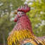 Statue de coq en fer Higgenbotham