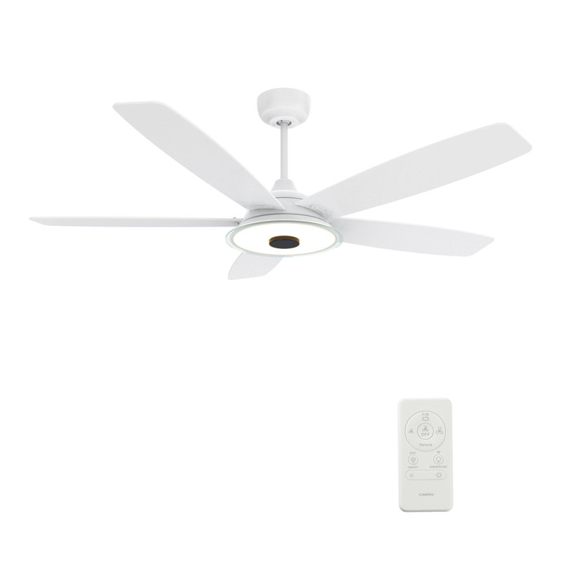 Ventilateur de plafond intelligent intérieur / extérieur Journey de 52 pouces, ensemble d'éclairage à DEL à intensité variable et télécommande, fonctionne avec l'assistant Google, Amazon Alexa et les raccourcis Siri.